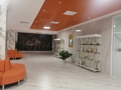 Рекреация, 1 этаж (корпус 1)